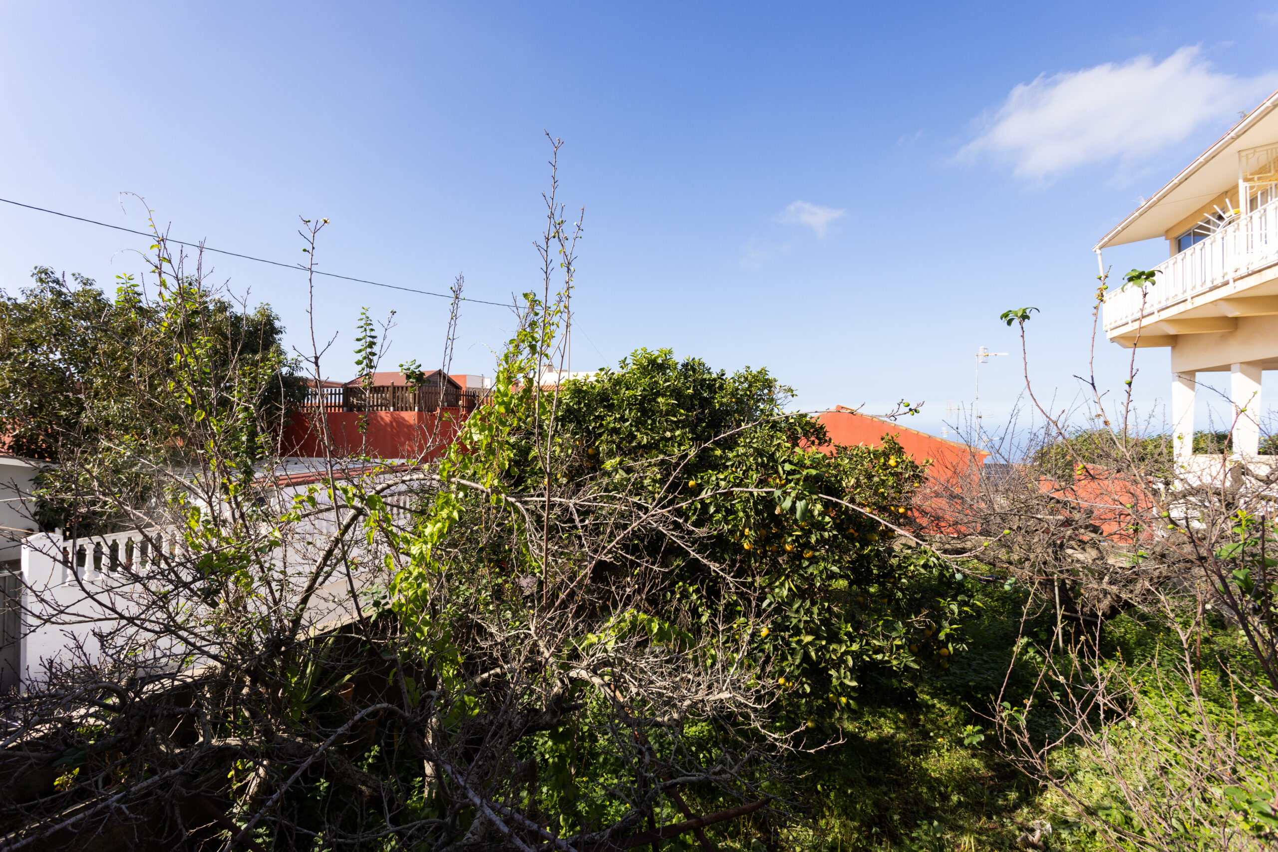 Tacoronte Centro (17)